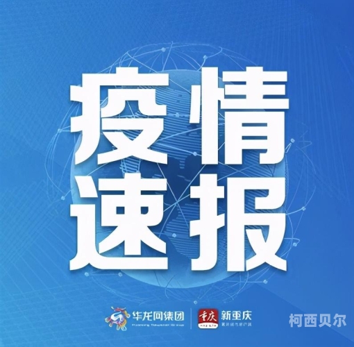 本地无码在线视频免费版，探索便捷的在线视频资源