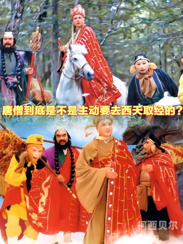八戒成人影片在线观看，探索神秘的成人影片世界八戒 看电影