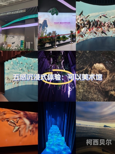 欧美午夜私人成人影院，探索沉浸式感官盛宴