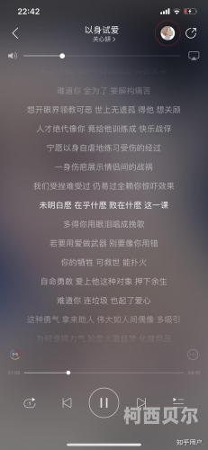 试爱旅行团，探索未知的魅力之旅知乎试爱游戏