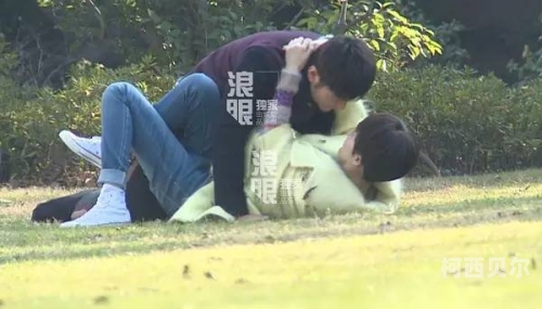 免费黄片69式免费黄片，揭秘69式网络文化