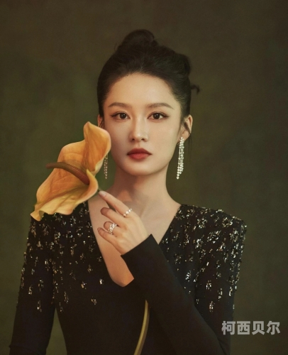 特黄老熟女一级视频，展现女性魅力与智慧老熟黄沁