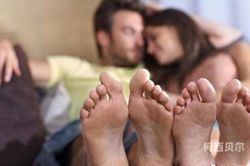 一级毛片真人免费播放视频，探索真实与诱惑的魅力