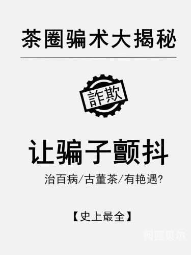 日本艳遇视频热搜，揭秘背后的文化与社交现象ⅴs日本