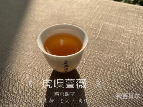 XX〇〇重口味成人欧美网站XX成人欧美重口味网站角色设定