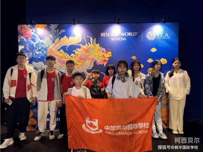 亚洲热门视频，女同观看指南，日韩不卡，探索多元文化