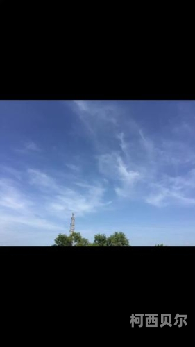 国产精品理人伦国色天香一区二区国产精品，理人伦国色天香一区二区深度解析