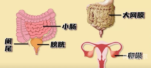 凸起按摩与GL关键词文章按压她微鼓的肚子
