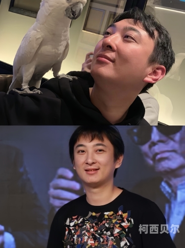 大爽粗硬嗯嗯啊大爽粗硬新闻资讯，探索网络热议的背后