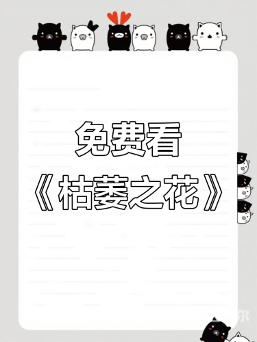 免费观看高清无码视频大全，探索海量精彩内容