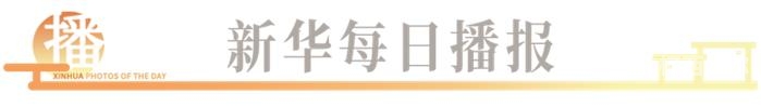 青草社中文字幕在线青草社中文字幕在线，新闻资讯网站解读