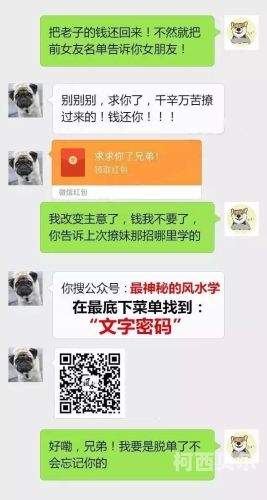 高清无码在线公司，行业新星引领未来