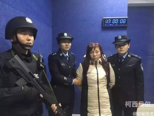 高清无码在线公司，行业新星引领未来