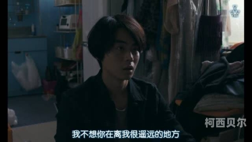 高清无码在线公司，行业新星引领未来