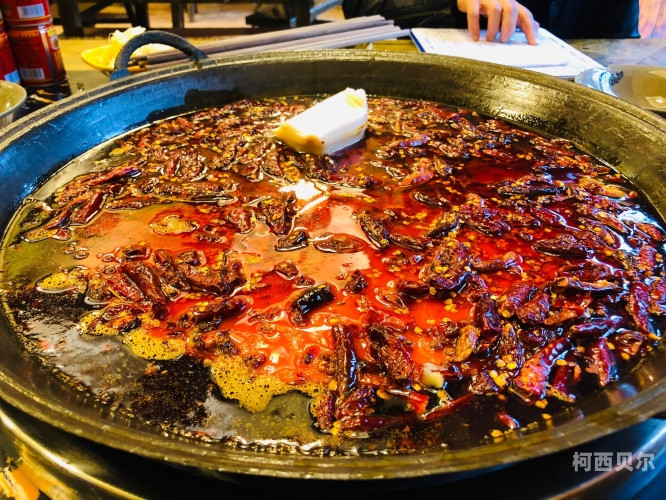 鸡鸡福利导航，探索健康与快乐的新天地福利好导航中心