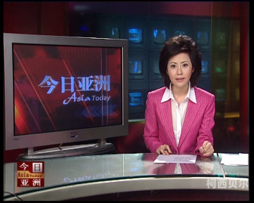 A片成人在线播放，网络新闻资讯