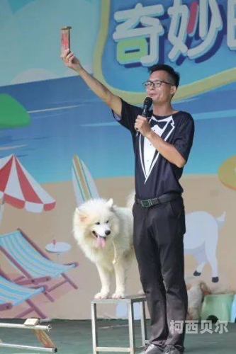 第四色婷婷激情青青草，青春与色彩的交融青青5g