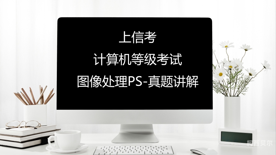 一级做受毛片免费大片我一级做受毛片免费大片，探索网络视频的魅力与风险