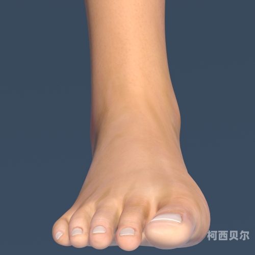 尼龙脚交 footjob尼龙脚交，探索神秘又诱惑的时尚潮流