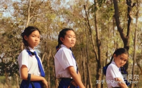 chinese色系91大东北，探寻地域特色与文化魅力91chinesehmoemdividee