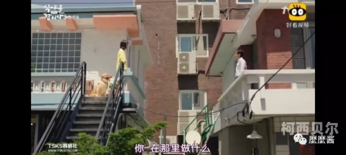男男绑床头贯穿哭囚禁h男男绑床头贯穿悲情故事，囚禁与情感的冲突