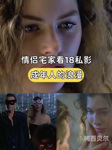 欧美成人手机在线H版欧美成人手机在线H版，探索成人视频的全新视角