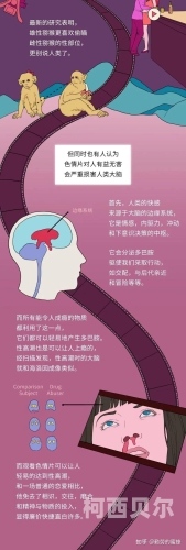 h片成人在线播放h片成人在线播放，探索网络新风尚