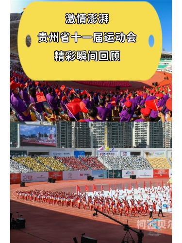 日韩激情盛宴，深度解读与精彩瞬间日韩激情aaA