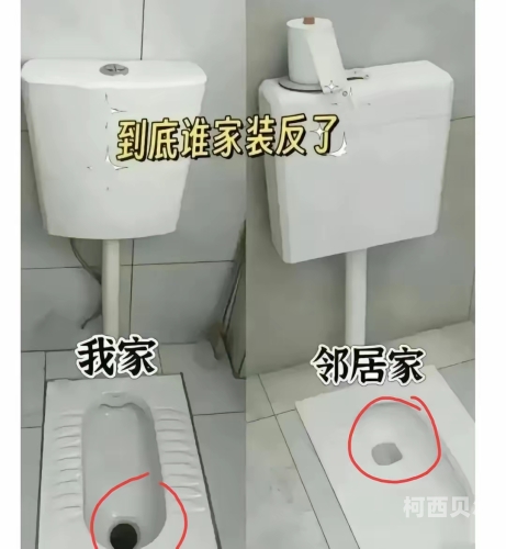 县城旱厕大白屁股县城旱厕现状揭秘，大白屁股背后的民生问题