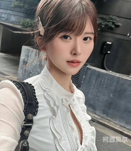 美女黄h网站mm，揭秘网络红人背后的神秘世界