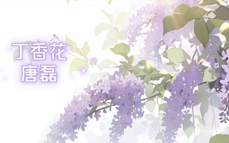 亚洲婷婷丁香，探寻丁香花下的文化与新闻可以润色的网站有哪些