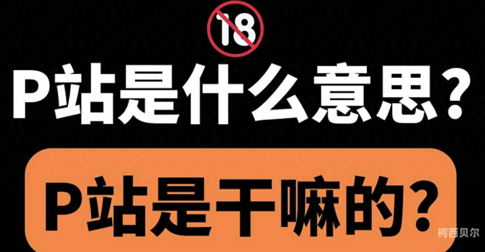 成人APP导航，探索数字时代的隐私与选择成人app导航p站