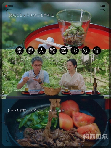人妻肥白视频小说，诱惑与责任交织的都市故事