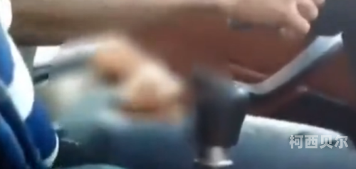成年男生露j自慰网站成年男生露j自慰网站揭秘，警惕网络陷阱，保护个人隐私